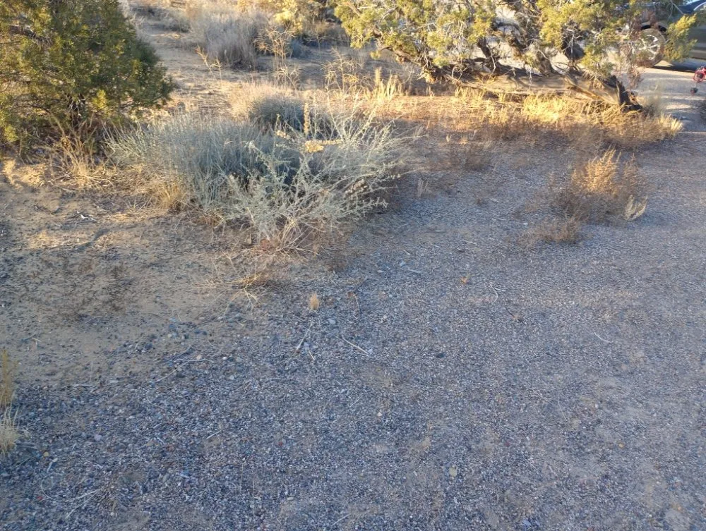 Top-rated lawn mowing service for outdoor upgrades in Kirtland, NM by Elite Skilled Labors