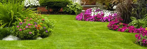 Local lawn care service for residential properties across Fargo, ND - Elite Snow and Landscaping