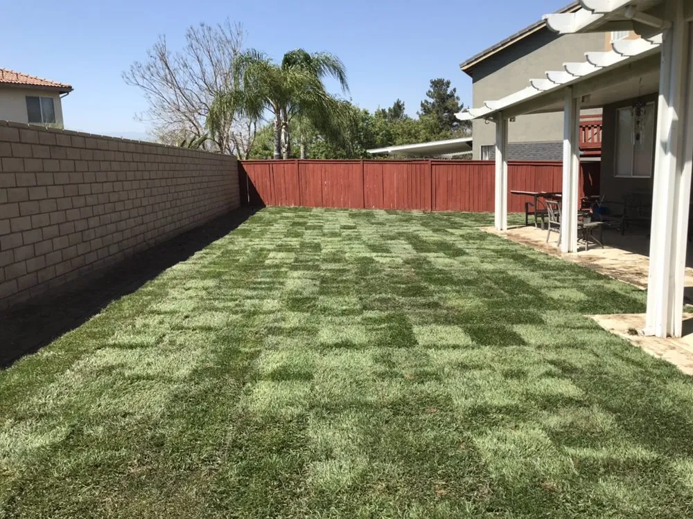 Affordable landscaping services experts serving Moreno Valley, CA - Elite Sod