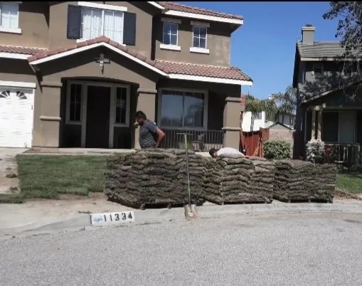 Expert landscape design in Moreno Valley, CA - Elite Sod