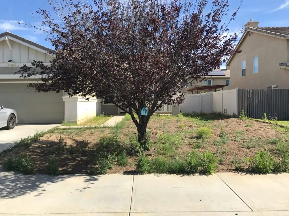 Custom landscaping services for residential properties in Moreno Valley, CA by Elite Sod