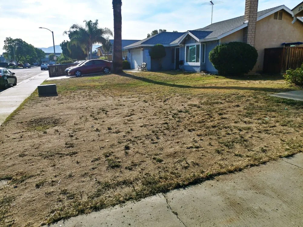 Expert lawn care service for homes across Moreno Valley, CA - Elite Sod