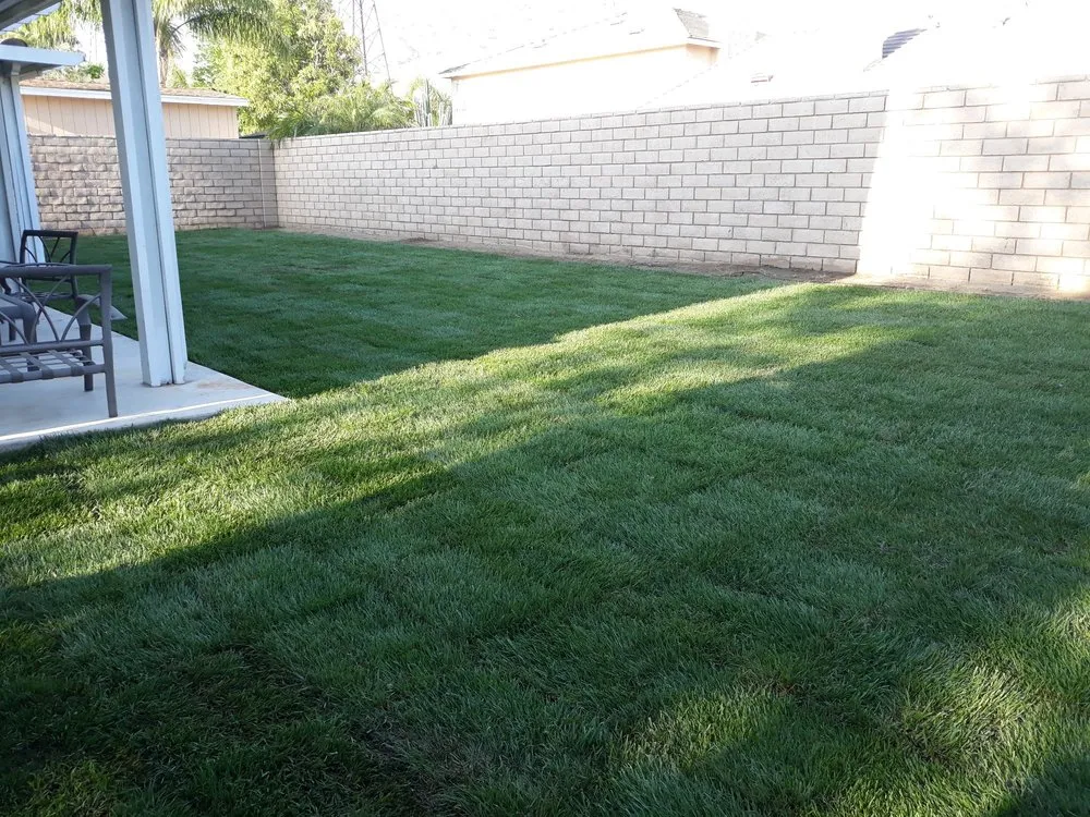 Professional outdoor landscaping for homes in Moreno Valley, CA by Elite Sod