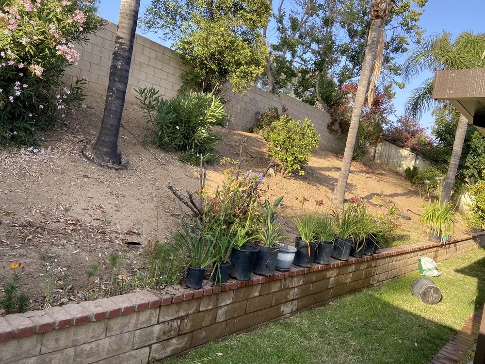 Affordable landscape design for homes across Moreno Valley, CA - Elite Sod