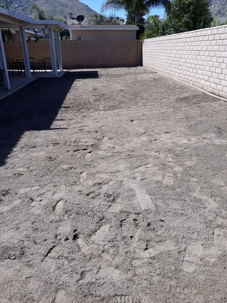 Top-rated residential landscaping in Moreno Valley, CA - Elite Sod