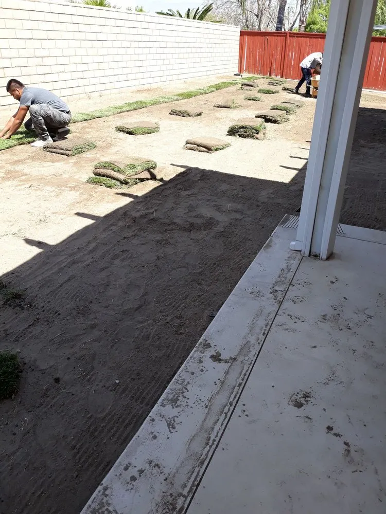 Professional landscape design in Moreno Valley, CA - Elite Sod