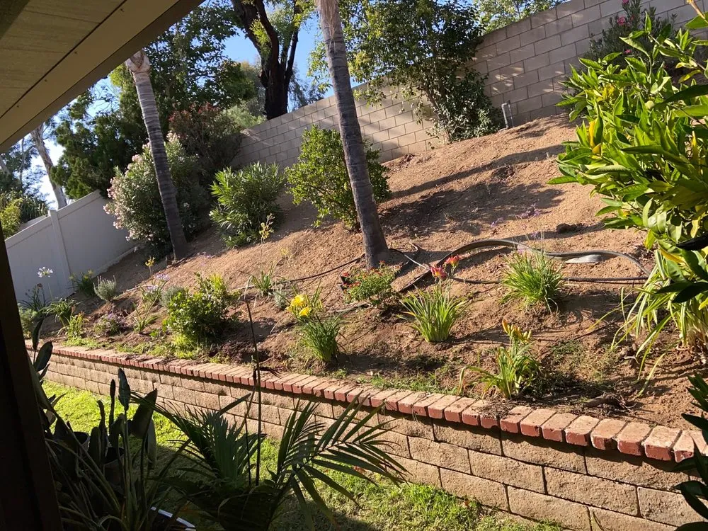 Top-rated garden landscaping for homes across Moreno Valley, CA - Elite Sod