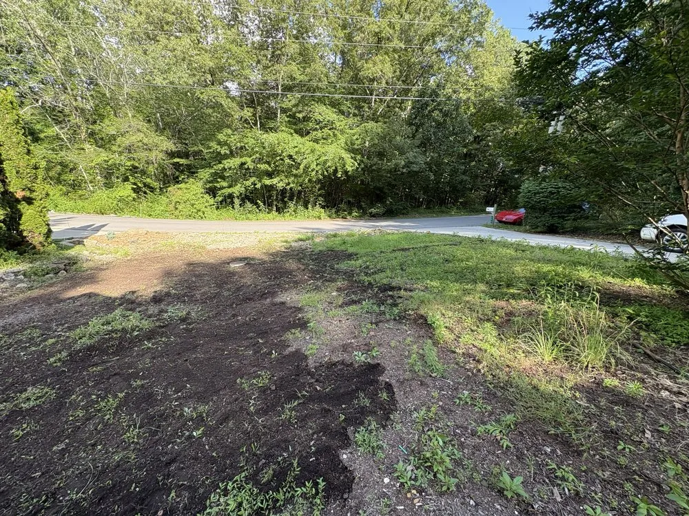 Expert yard maintenance for year-round maintenance in Spencer, TN by Elite