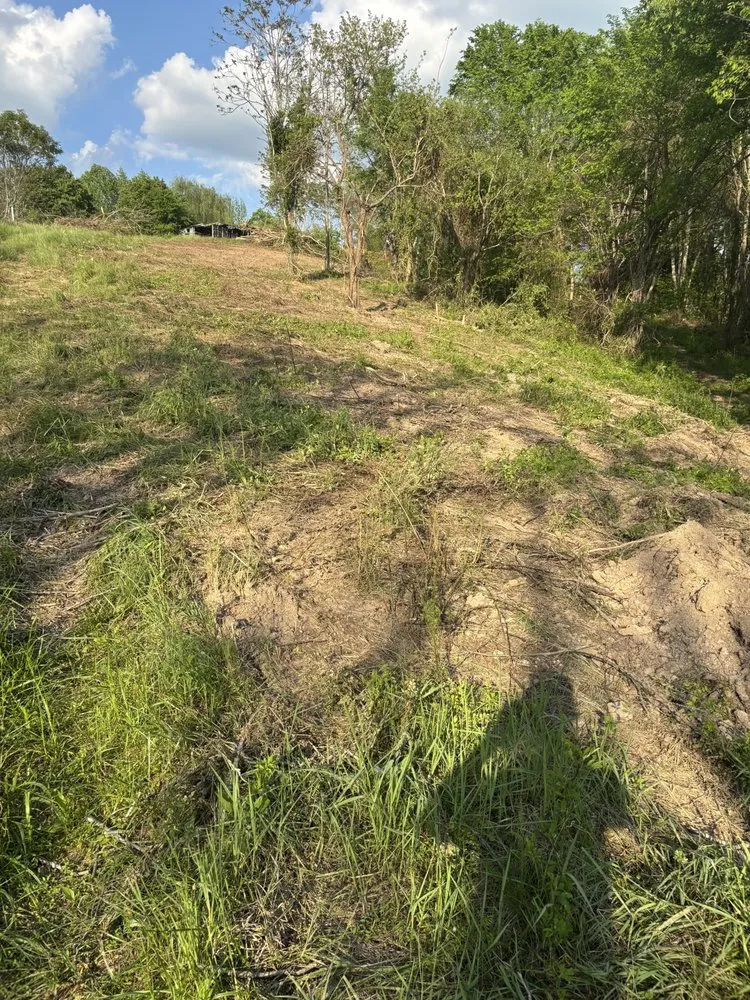 Affordable landscape design for year-round maintenance across Spencer, TN - Elite