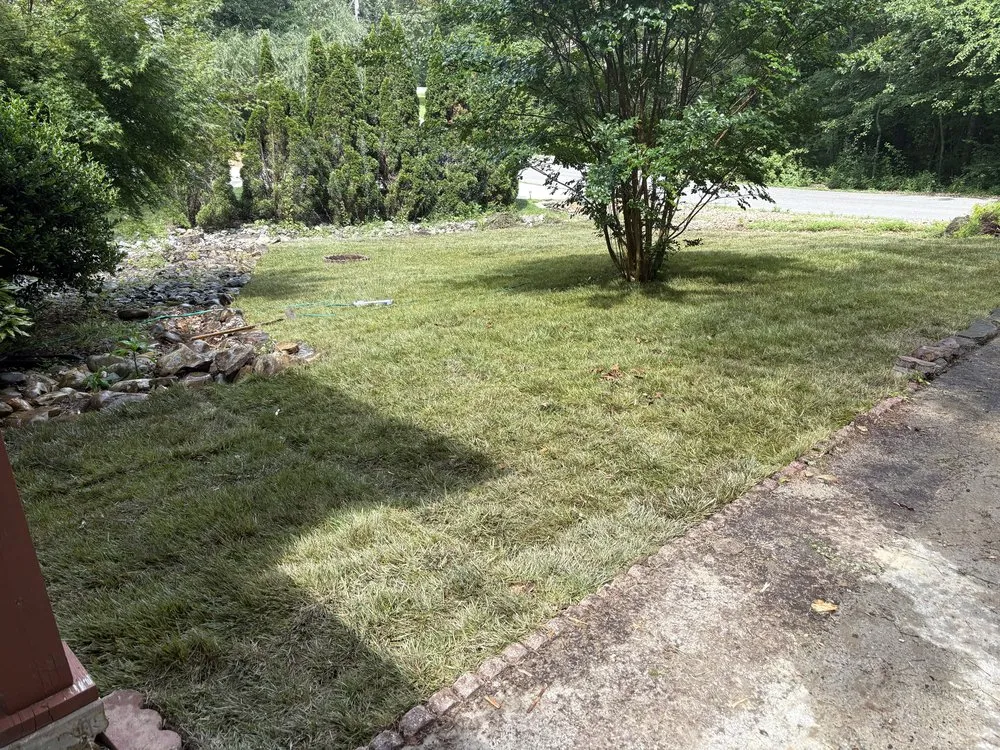 Custom lawn care service near you across Spencer, TN - Elite