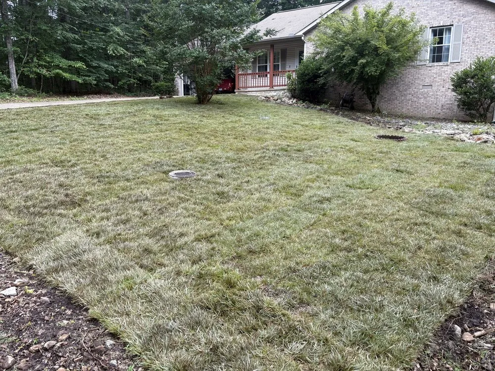 Trusted landscape installation for year-round maintenance in Spencer, TN by Elite