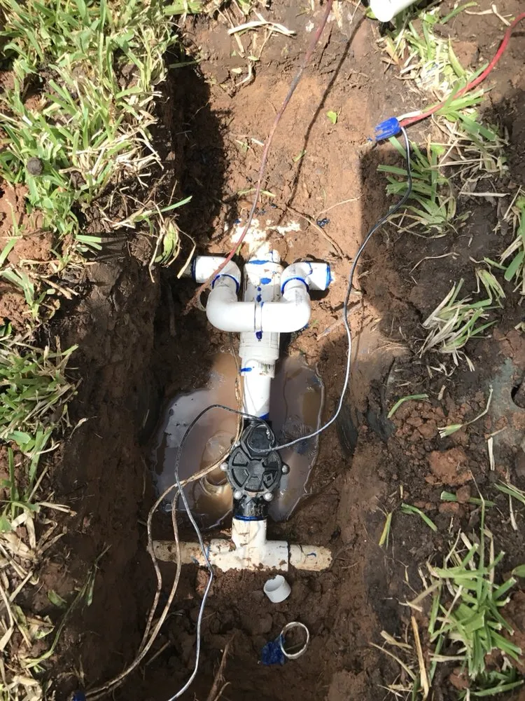 Custom landscaping services for year-round maintenance across Katy, TX - Elite Sprinkler Services