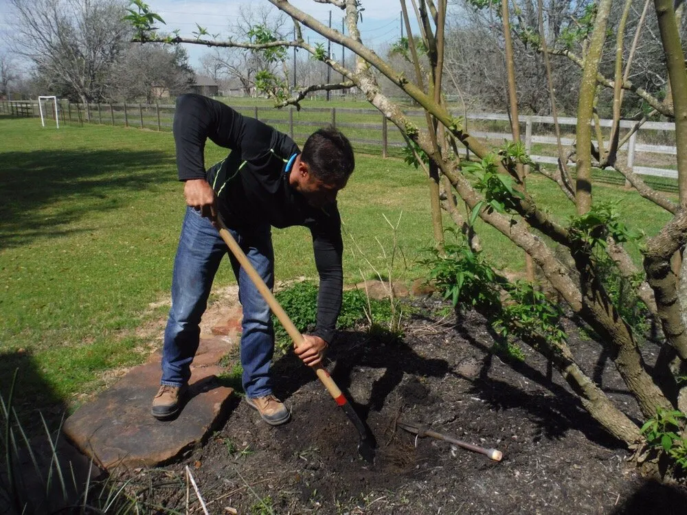 Trusted landscape installation experts serving Katy, TX - Elite Sprinkler Services