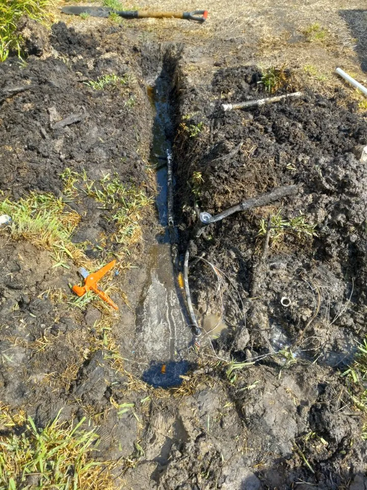 Top-rated outdoor landscaping for year-round maintenance across Katy, TX - Elite Sprinkler Services