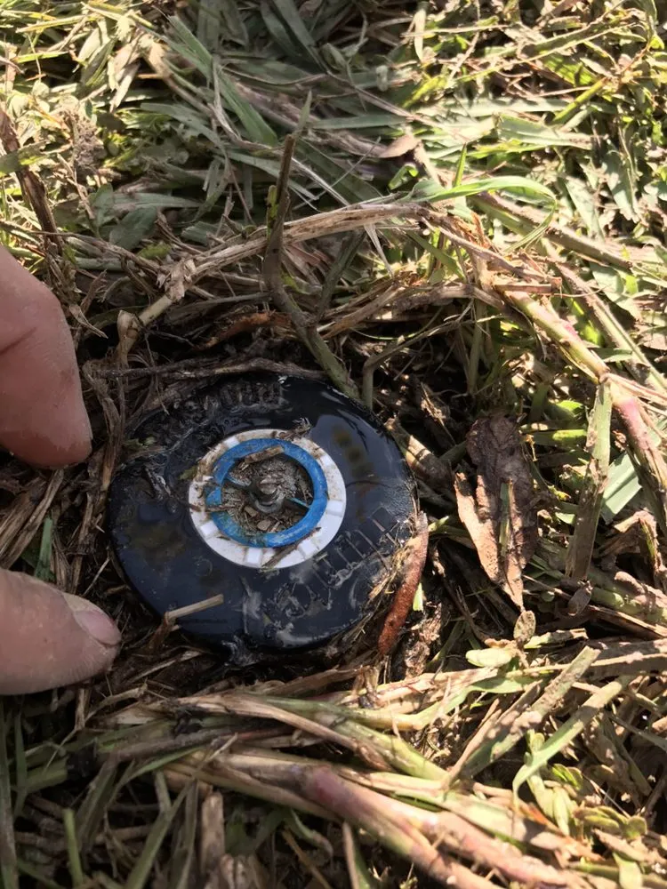 Top-rated landscape installation for outdoor upgrades across Katy, TX - Elite Sprinkler Services