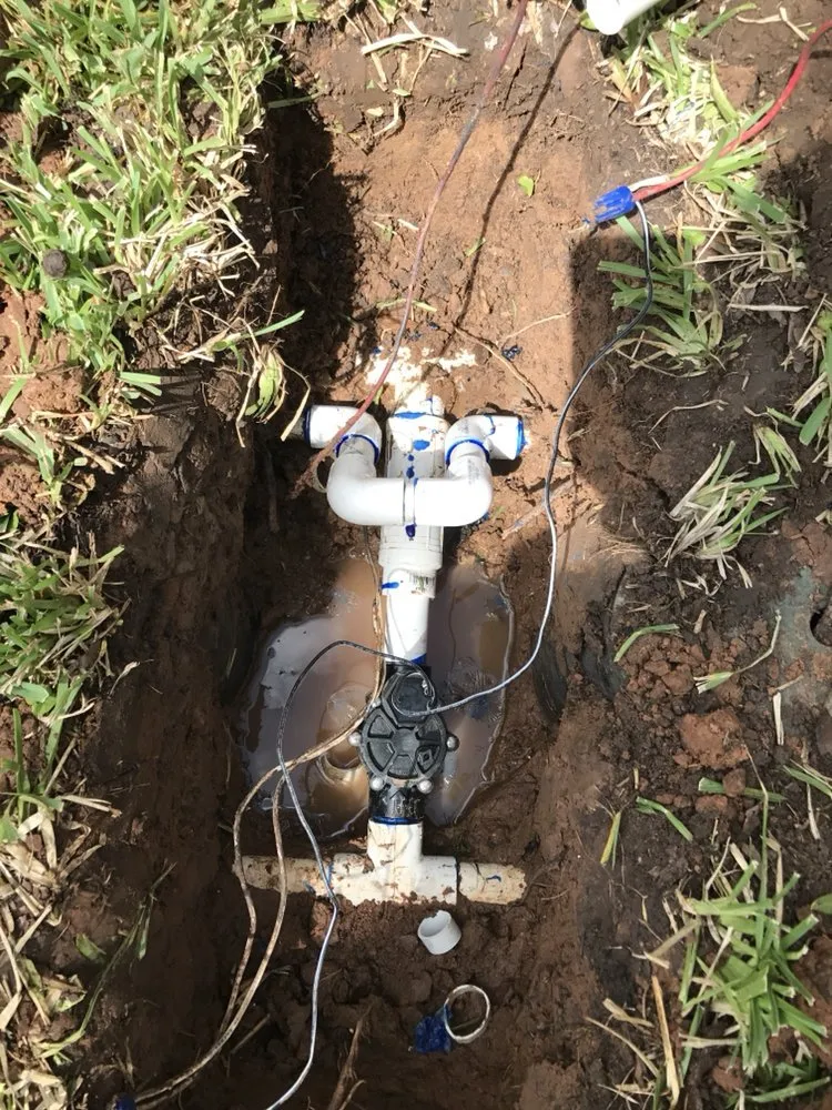 Professional landscape design for year-round maintenance in Katy, TX by Elite Sprinkler Services