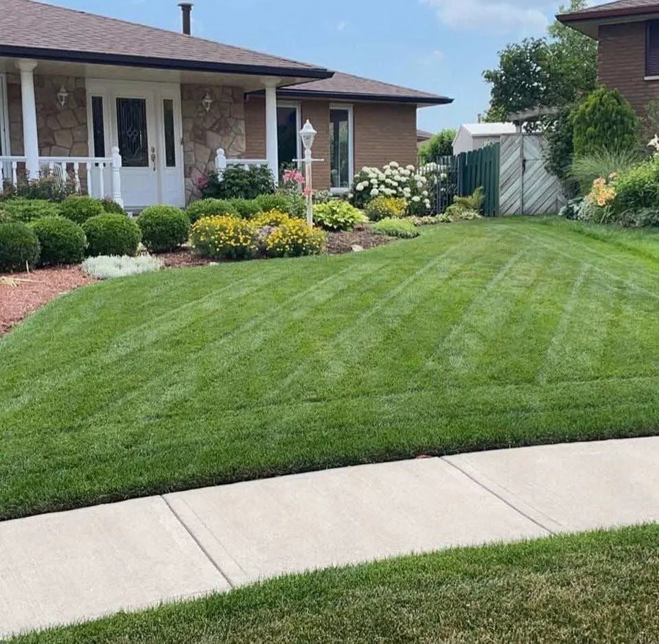 Trusted yard maintenance in Meridian, ID - Elite Sprinkler Tech & Landscaping