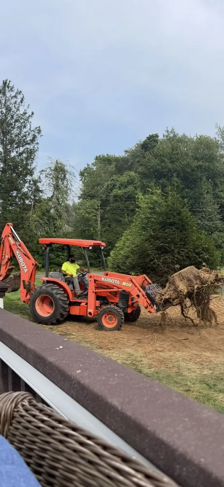 Reliable landscape design in Trumbull, CT - Elite Stump Removal