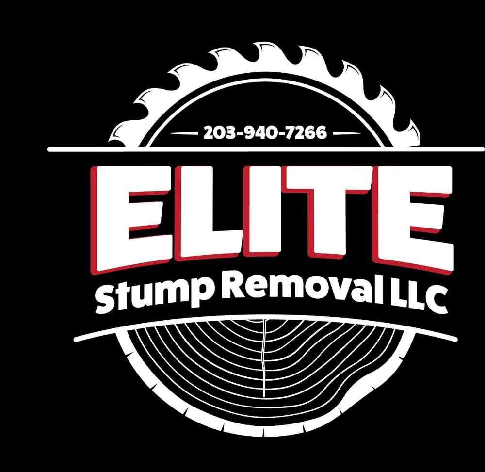 Professional yard maintenance in Trumbull, CT by Elite Stump Removal