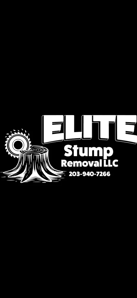 Top-rated lawn care service near you in Trumbull, CT by Elite Stump Removal