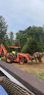 Elite Stump Removal Logo