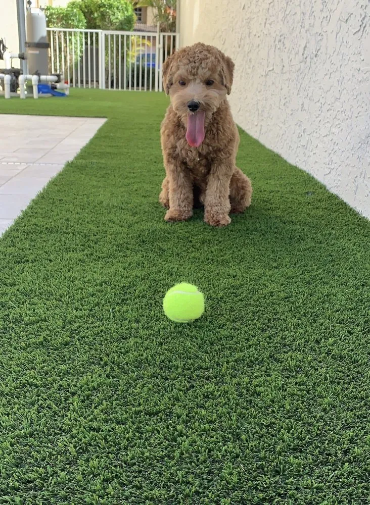 Custom landscaping services for beautiful yards in Jupiter, FL by Elite Synthetic Turf