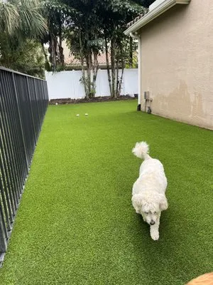 Elite Synthetic Turf Logo