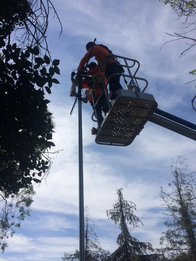 Expert outdoor landscaping in Clovis, CA by Elite Team Offices