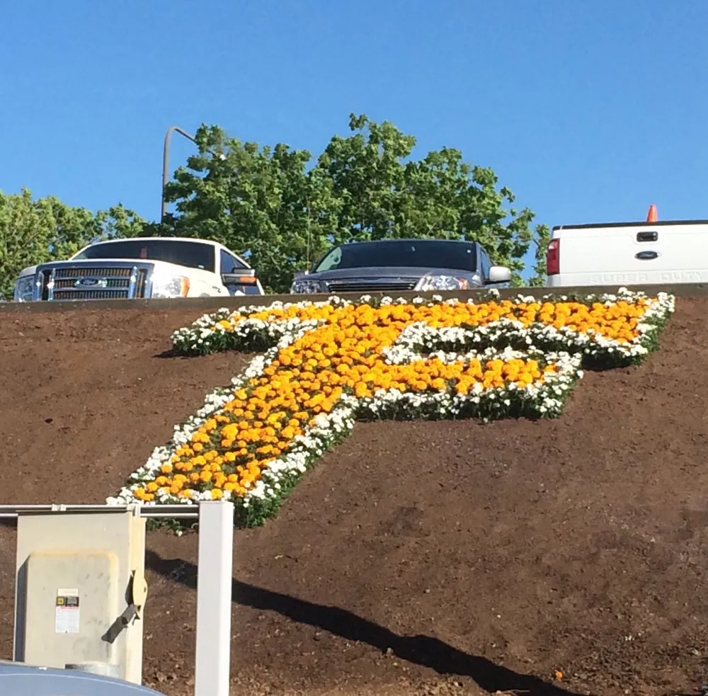 Reliable lawn care service near you across Clovis, CA - Elite Team Offices