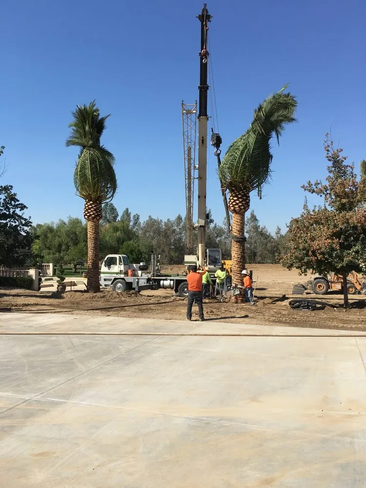 Trusted yard cleanup service in Clovis, CA - Elite Team Offices