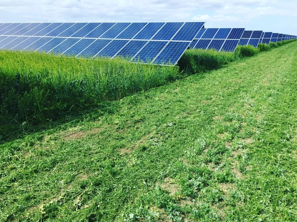 Local lawn care service in Clovis, CA - Elite Team Offices