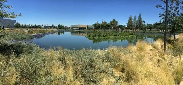 Custom lawn mowing service experts serving Clovis, CA - Elite Team Offices