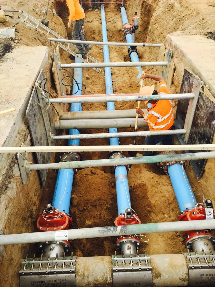 Custom landscape installation in Clovis, CA by Elite Team Offices