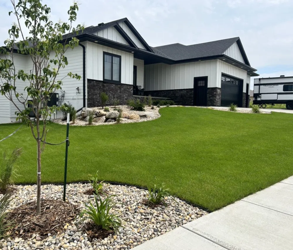 Local yard cleanup service in Brownsville, TX by Elite Terra