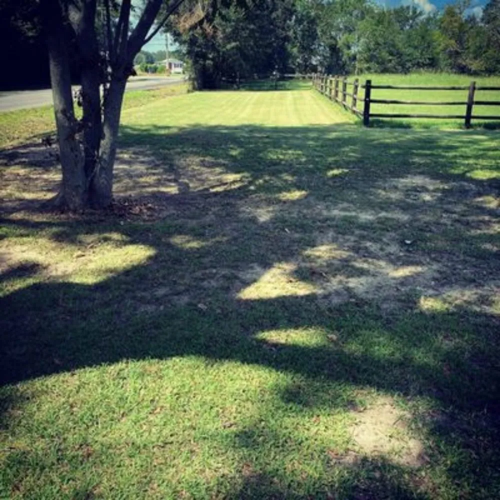 Trusted yard cleanup service for homes across Church Point, LA - Elite Tractor Service
