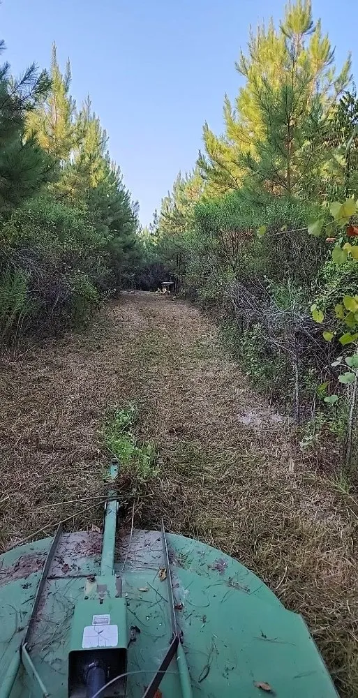 Custom residential landscaping in Church Point, LA - Elite Tractor Service