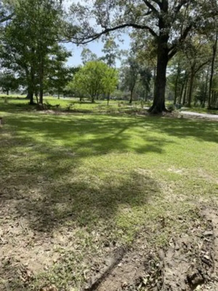 Expert landscape design for year-round maintenance across Church Point, LA - Elite Tractor Service