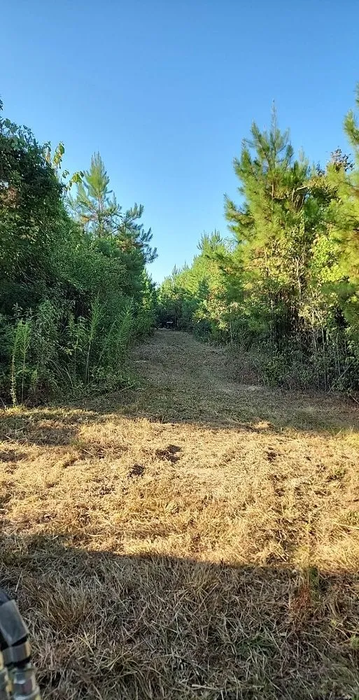 Trusted yard cleanup service for homes across Church Point, LA - Elite Tractor Service