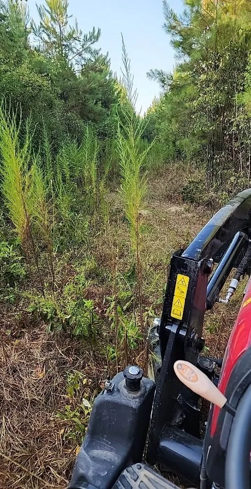 Trusted landscape design experts serving Church Point, LA - Elite Tractor Service