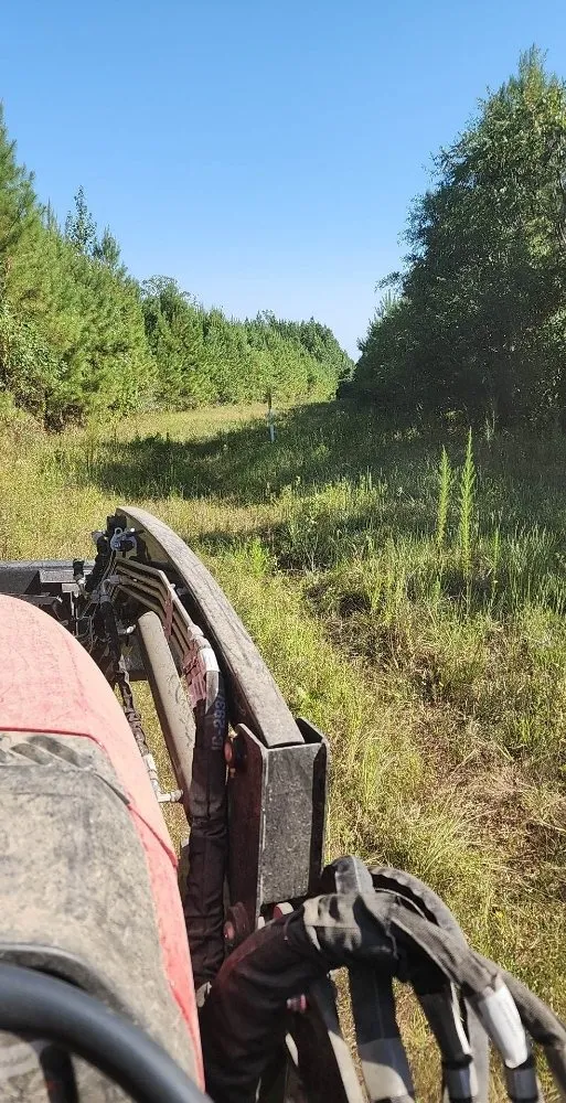 Top-rated landscape installation in Church Point, LA - Elite Tractor Service