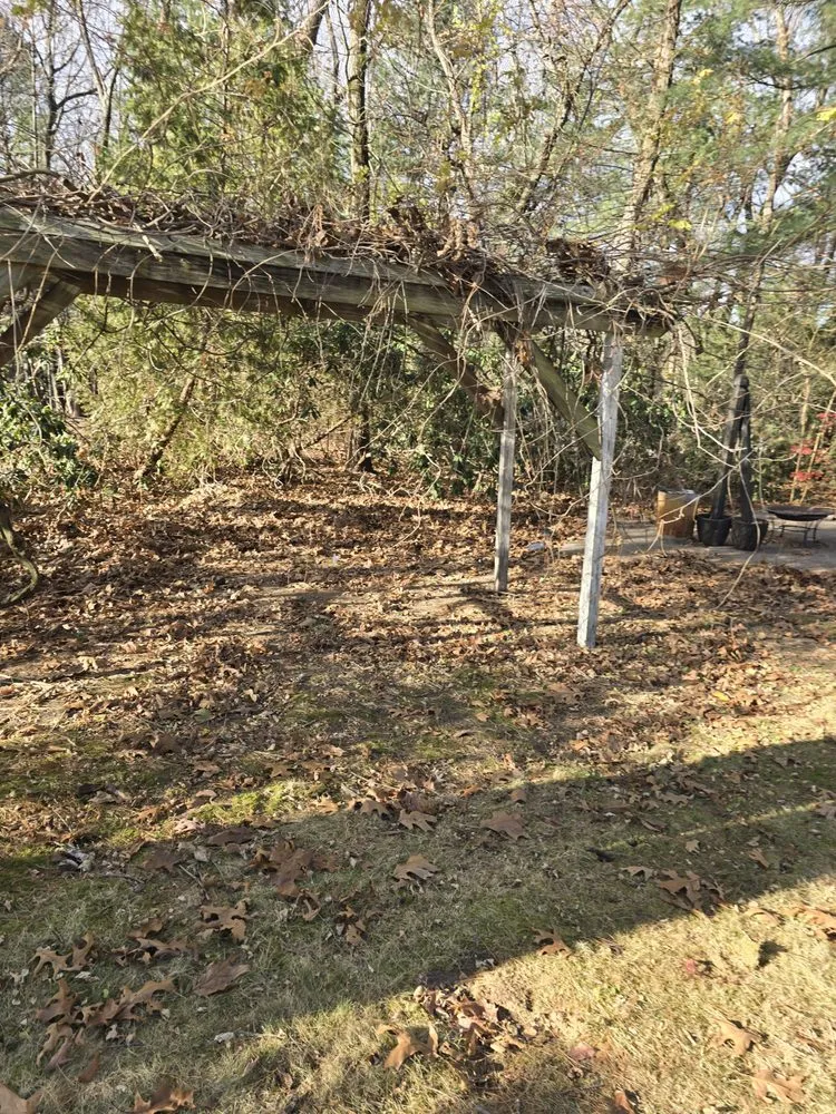 Reliable yard maintenance in South Windsor, CT - Elite Trash out & Property Preservation Services