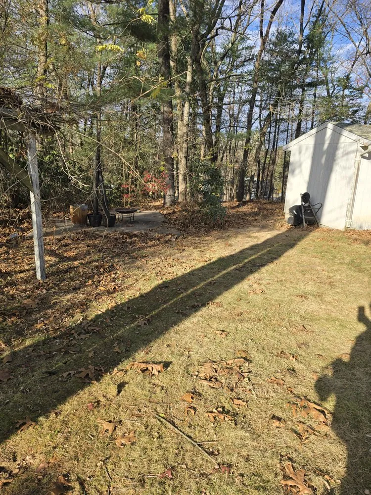 Local yard maintenance for year-round maintenance across South Windsor, CT - Elite Trash out & Property Preservation Services