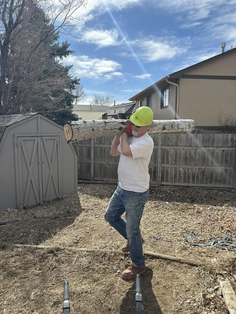 Custom yard maintenance for outdoor upgrades in Windsor, CO by Elite Tree & Land Care