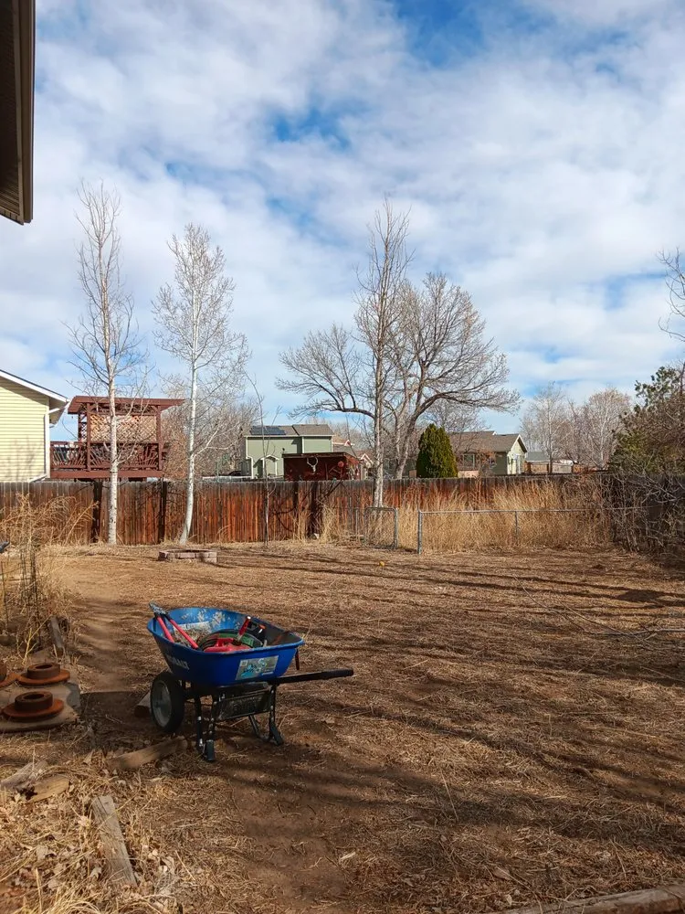 Custom landscaping services in Windsor, CO - Elite Tree & Land Care