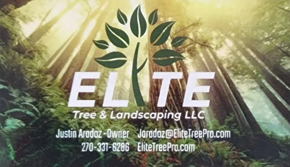 Affordable residential landscaping for year-round maintenance across Paducah, KY - Elite Tree & Landscaping