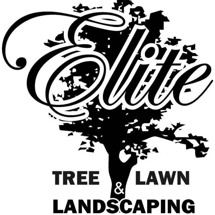 Top-rated lawn care service for homes across Houston, DE - Elite Tree & Lawn Landscaping