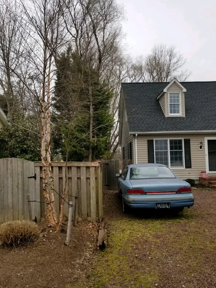 Professional landscape design in Houston, DE - Elite Tree & Lawn Landscaping