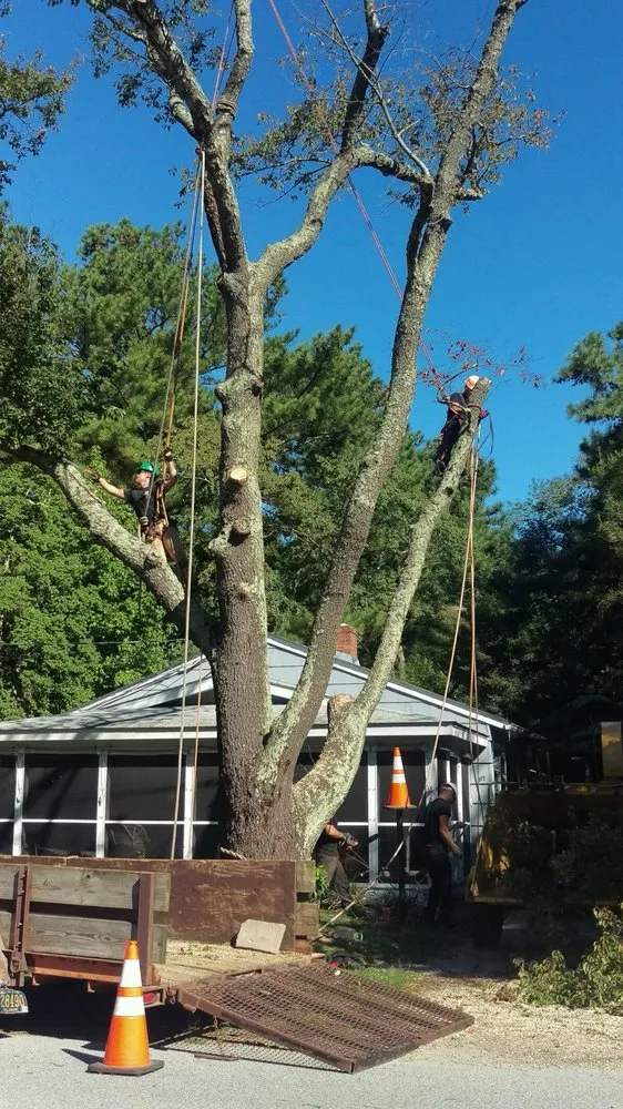 Professional yard maintenance for beautiful yards across Houston, DE - Elite Tree & Lawn Landscaping
