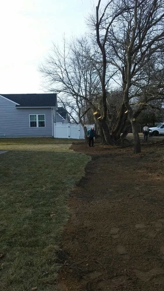 Trusted yard maintenance experts serving Houston, DE - Elite Tree & Lawn Landscaping