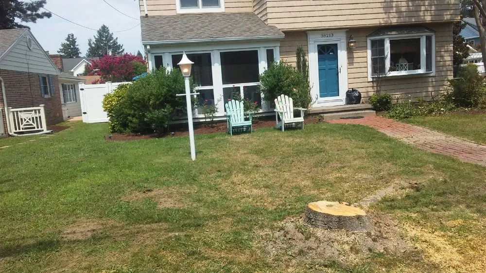 Professional garden landscaping experts serving Houston, DE - Elite Tree & Lawn Landscaping